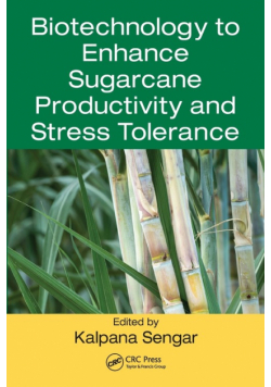 Biotechnology to Enhance Sugarcane Productivity and Stress Tolerance