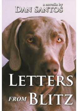 Letters from Blitz