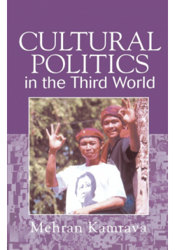 Cultural Politics in the Third World