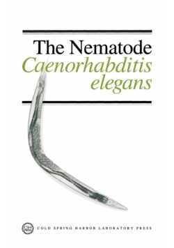 Nematode Caenorhabditis Elegans