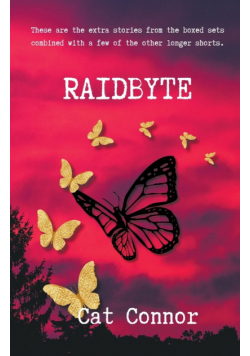 Raidbyte