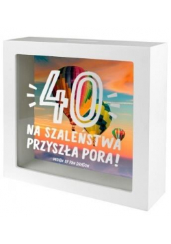 Skarbonka Home-40 2