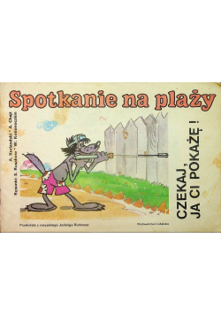 Spotkanie na plaży