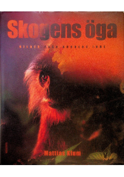 Skogens oga