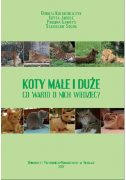 Koty małe i duże. Co warto o nich wiedzieć?