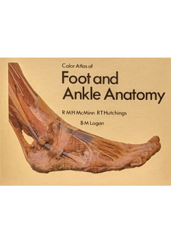 Foot and Ankle Anatomy