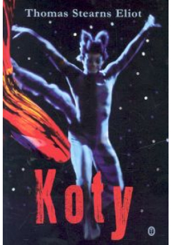 Koty