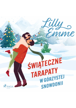 Świąteczne tarapaty w górzystej Snowdonii