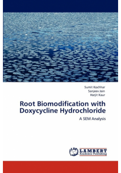 Root Biomodification with Doxycycline Hydrochloride