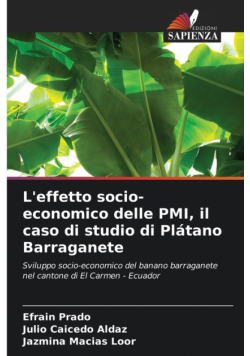 L'effetto socio-economico delle PMI, il caso di studio di Plátano Barraganete