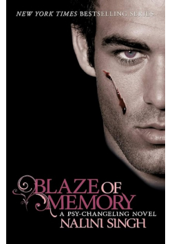 Blaze of Memory: Book 7