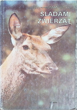 Śladami zwierząt