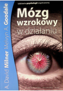 Mózg wzrokowy w działaniu
