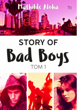 Story of Bad Boys 1