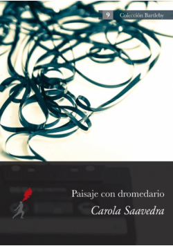 Paisaje con dromedario
