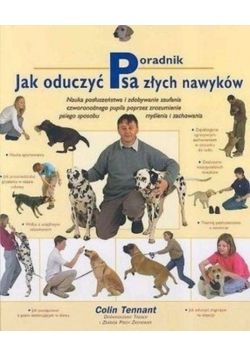 Jak oduczyć psa złych nawyków