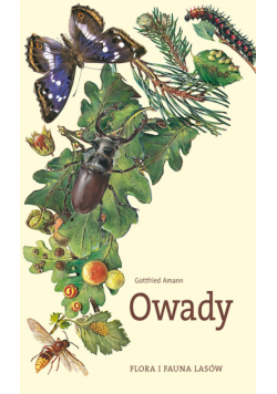 Owady