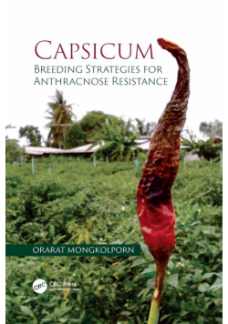 Capsicum