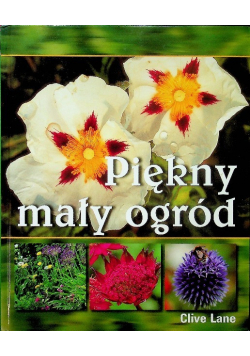 Piękny mały ogród