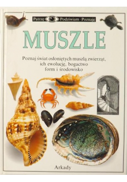 Muszle