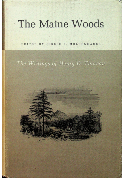 The maine woods