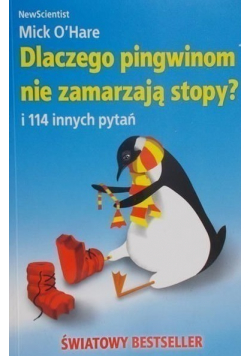 Dlaczego pingwinom nie zamarzają stopy