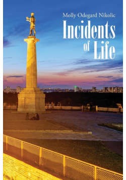 Incidents of Life