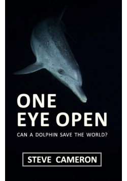 One Eye Open