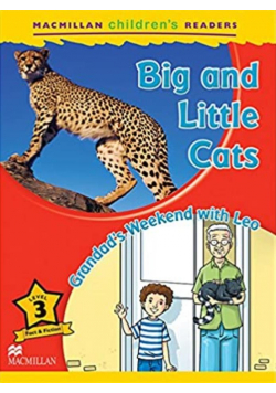 Children's: Big and Little Cats 3 Grandad's...