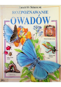 Rozpoznawanie owadów