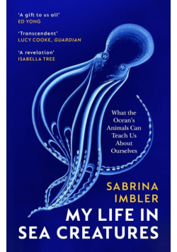 My Life in Sea Creatures