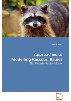 Approaches to Modelling Raccoon Rabies