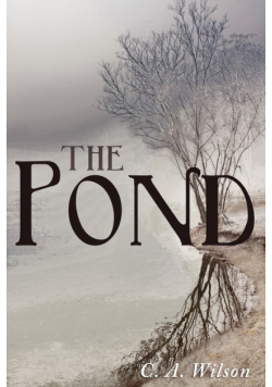 The Pond
