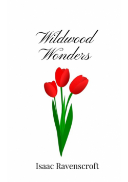 Wildwood Wonders