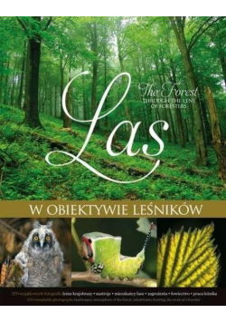Las w obiektywie leśników