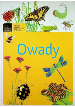 Owady