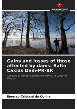 Gains and losses of those affected by dams