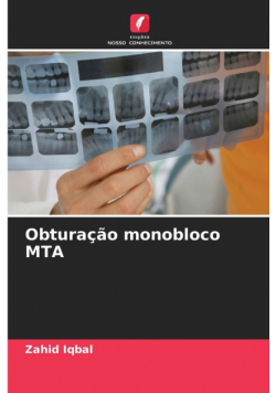 Obturação monobloco MTA