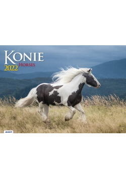 Kalendarz 2022 KA-10 Konie AVANTI