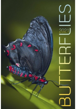 Kalendarz 2021 Ścienny Butterflies CRUX
