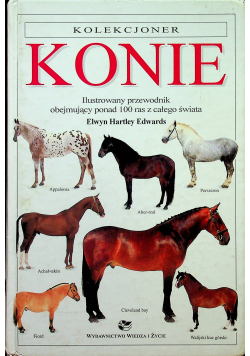 Kolekcjoner Konie