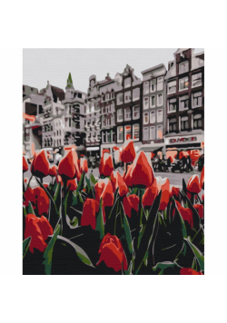 Malowanie po numerach BRUSHME 40x50 cm tulipany Amsterdamu