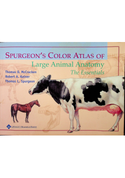Large Animal Anatomy the Essentials