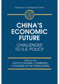 China's Economic Future