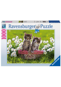 Puzzle 1000 Koci piknik