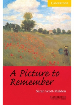 A Picture to Remember