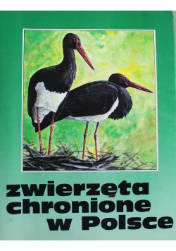 Zwierzęta chronione w Polsce