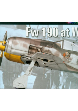 FW 190 at War Part I