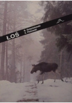 Łoś