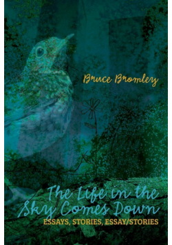 The Life in the Sky Comes Down